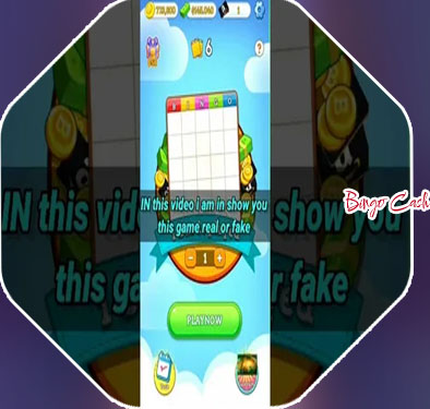 Bingo app to win money