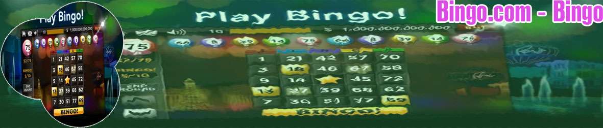 Bingo online casino