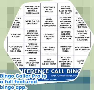 Full screen bingo caller